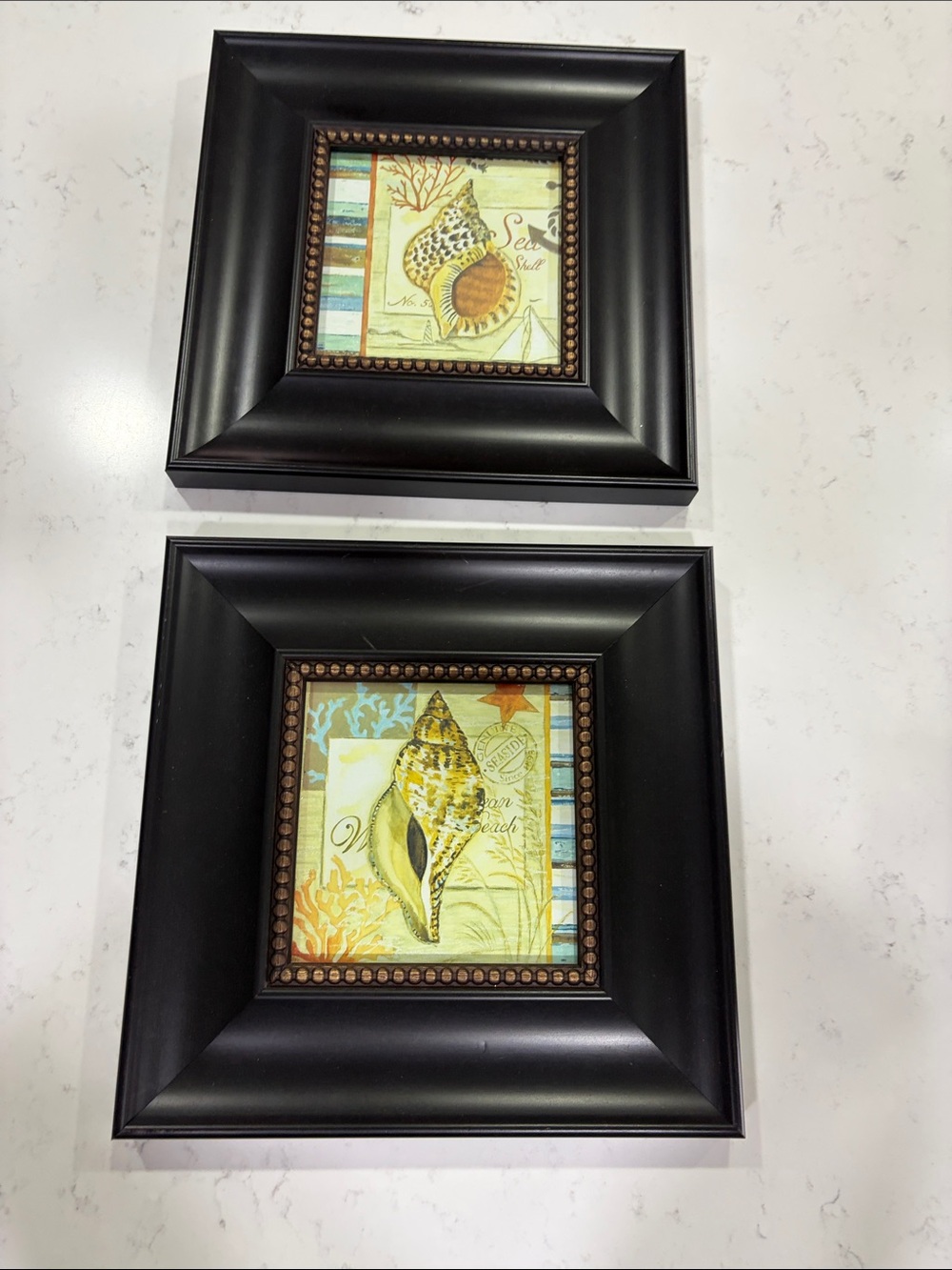 Black Framed Coastal Shell Wall Art - Set of 2